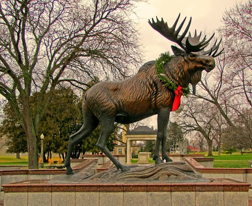 Moose Statue on Campus