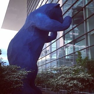 Bear Outside the Convention Center